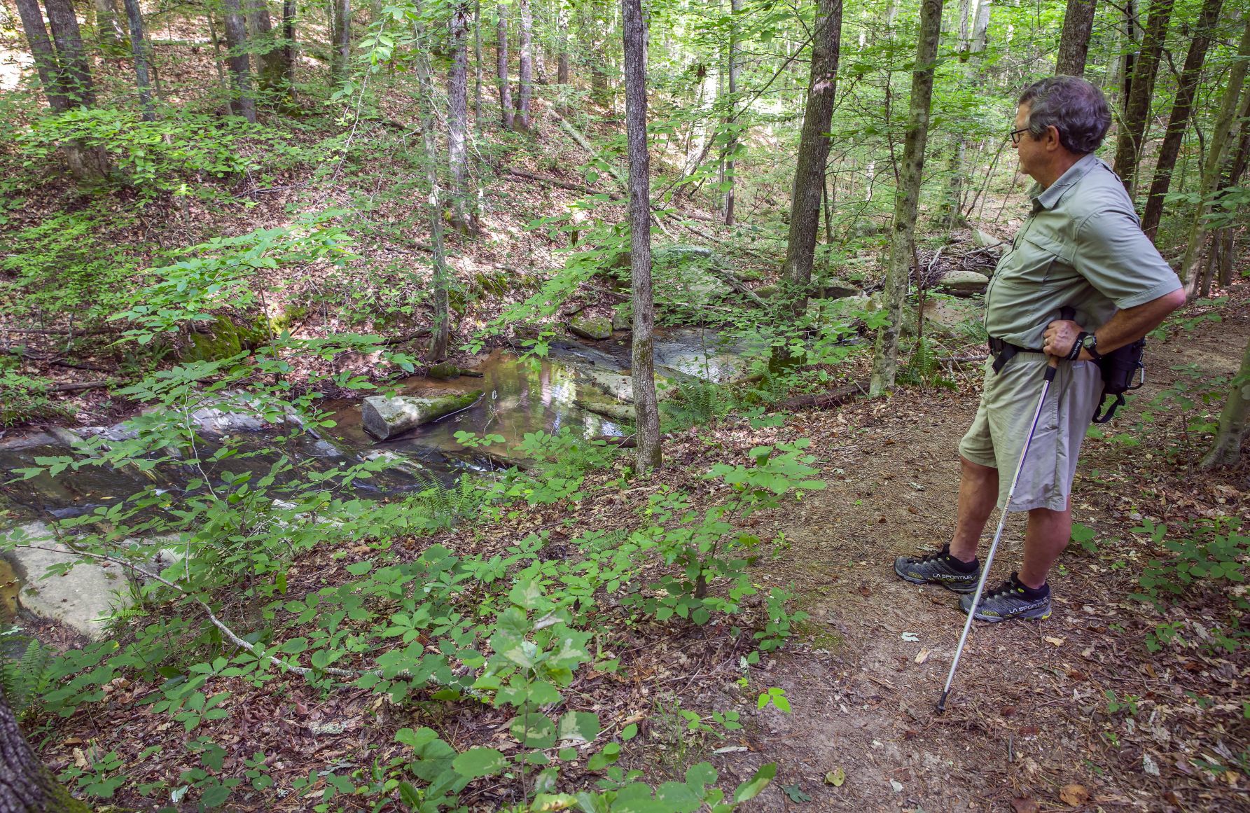Cascades Preserve hiking trail